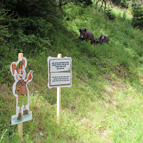 Hoppl trail Hoppl trail